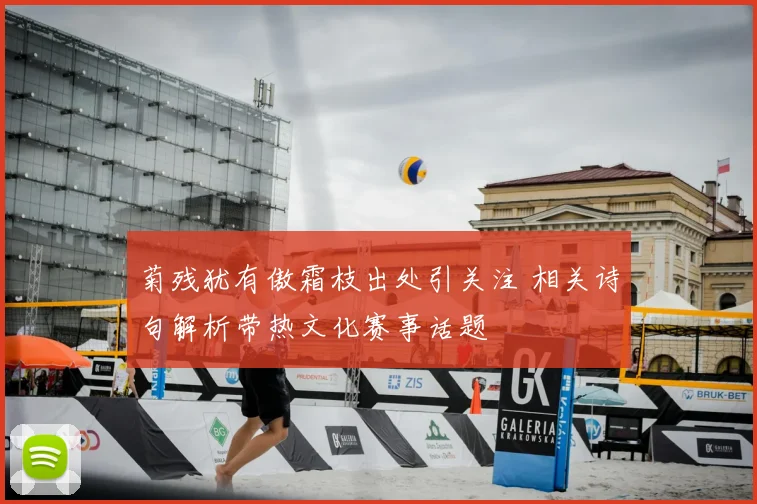 菊残犹有傲霜枝出处引关注 相关诗句解析带热文化赛事话题