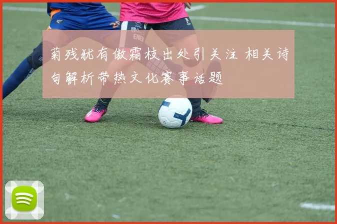 菊残犹有傲霜枝出处引关注 相关诗句解析带热文化赛事话题