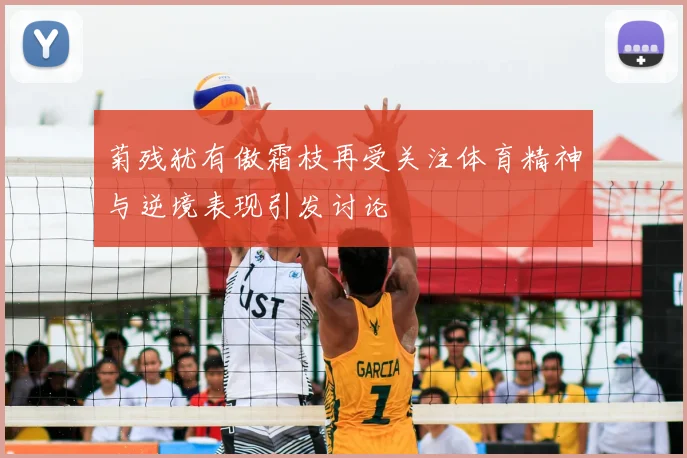 菊残犹有傲霜枝再受关注体育精神与逆境表现引发讨论