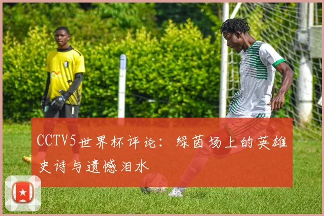 CCTV5世界杯评论：绿茵场上的英雄史诗与遗憾泪水