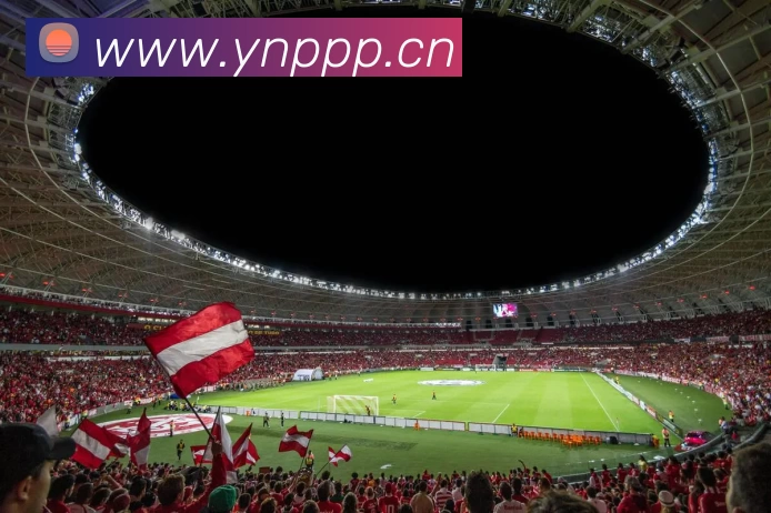 多媒体互动体验